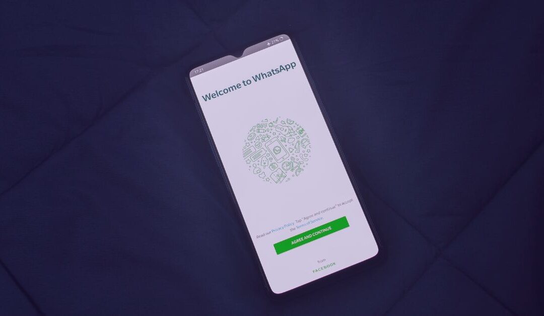 Create Whatsapp Chatbots to Increase your Sales by 1.5X using Botsify